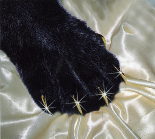 Miss Scandinavia Mina Here For You Today